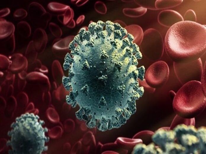 16_01_2022-coronavirus_85961 (1)