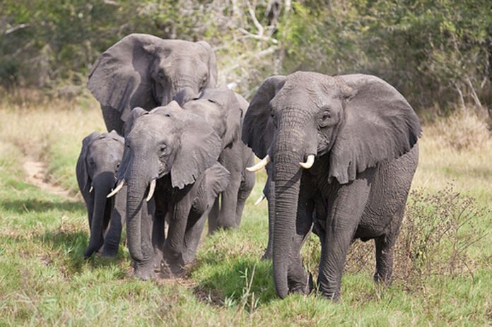 NFuKIwuWESmBLtw7rvQw