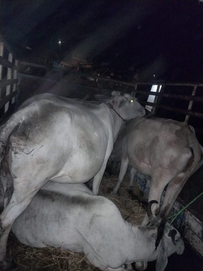 WhatsApp Image 2022-11-04 at 20.49.06