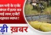 BALAGHAT NEWS : डबल मनी के एजेंट की जंगल में हत्या कर जलाई लाश,एजेंटों में दहशत व्याप्त !