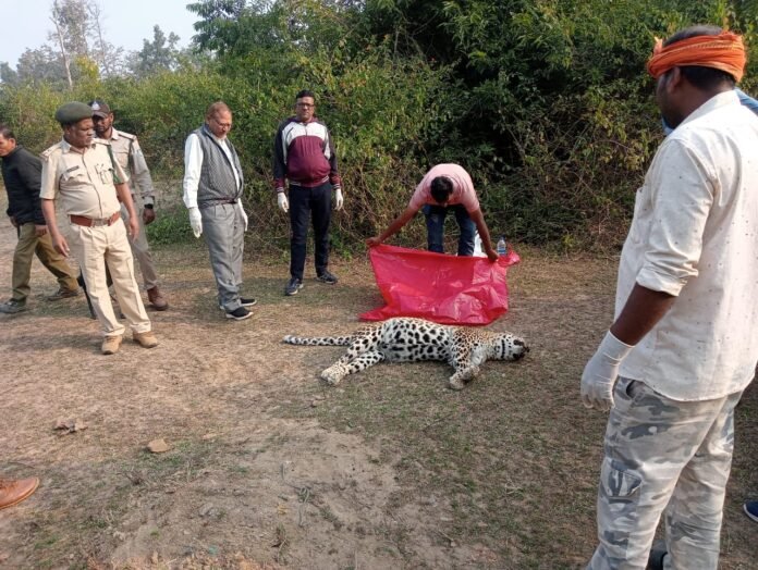 WhatsApp Image 2024-01-03 at 16.22.42 (1)