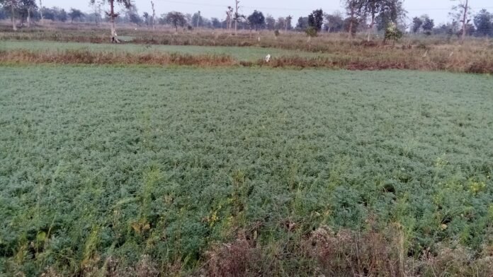 WhatsApp Image 2024-02-12 at 20.48.05