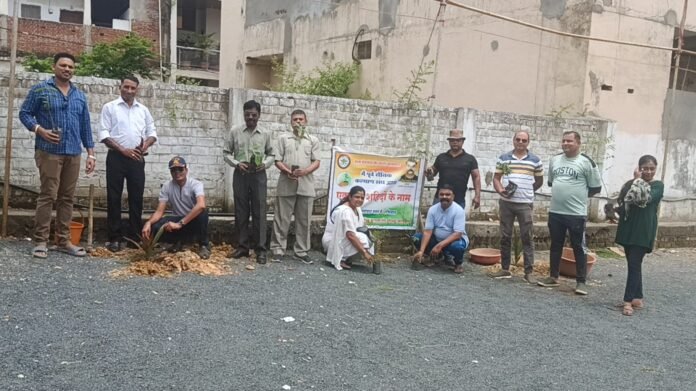 WhatsApp Image 2024-07-13 at 20.43.36