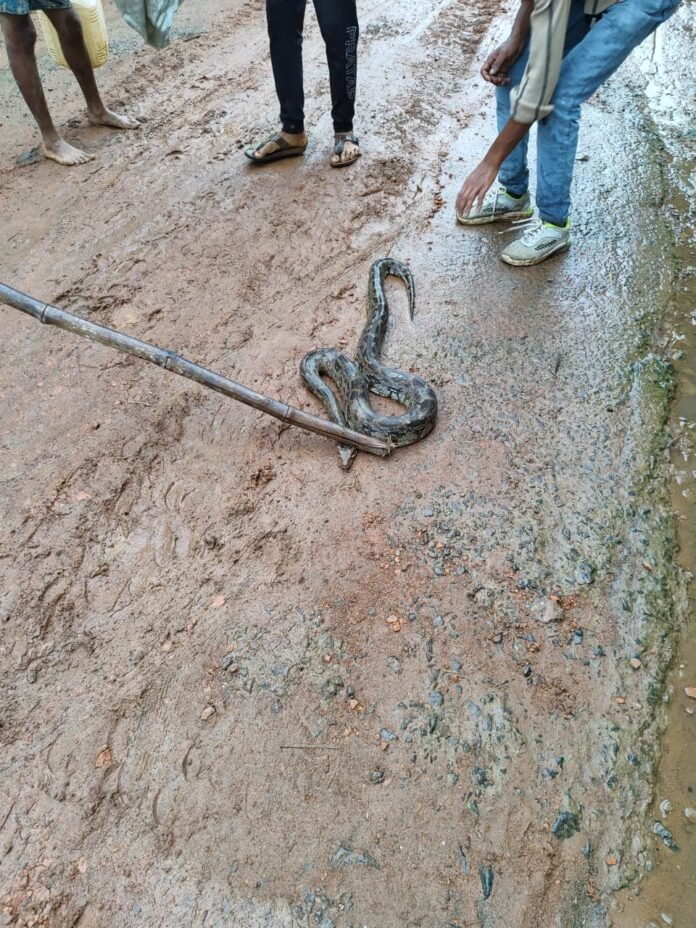 WhatsApp Image 2024-07-27 at 6.25.50 PM