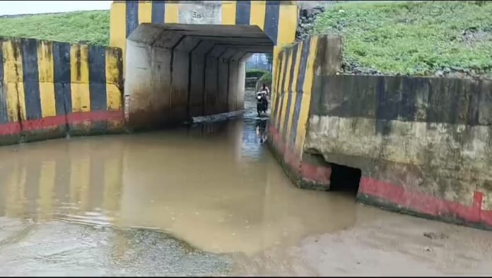 WhatsApp Image 2024-08-01 at 18.50.33