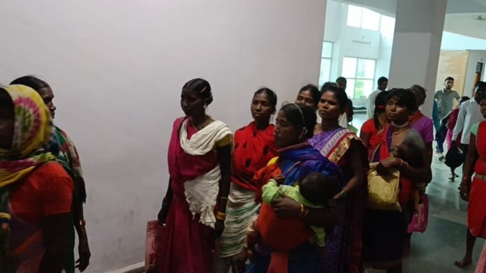 WhatsApp Image 2024-10-04 at 19.41.32