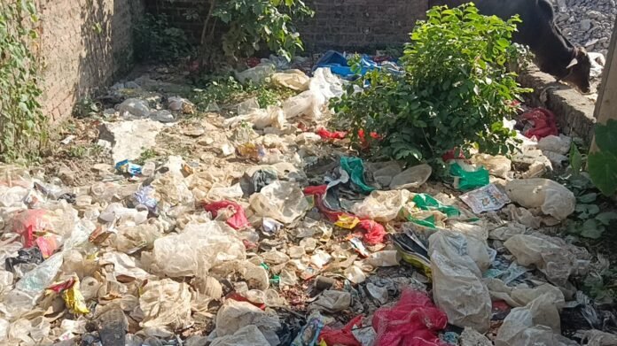 WhatsApp Image 2024-10-06 at 19.59.35