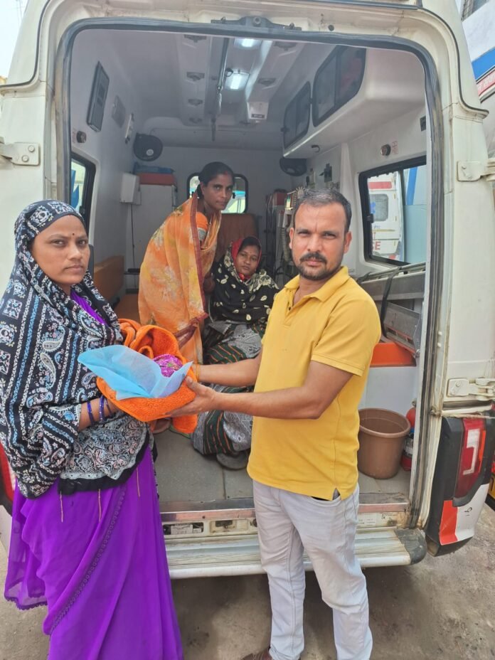 WhatsApp Image 2024-11-02 at 21.19.06