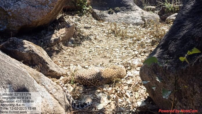 WhatsApp Image 2025-02-13 at 20.38.30