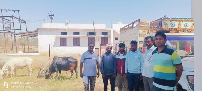 WhatsApp Image 2025-03-09 at 20.06.49