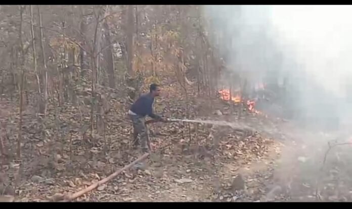 WhatsApp Image 2025-03-17 at 6.17.08 PM