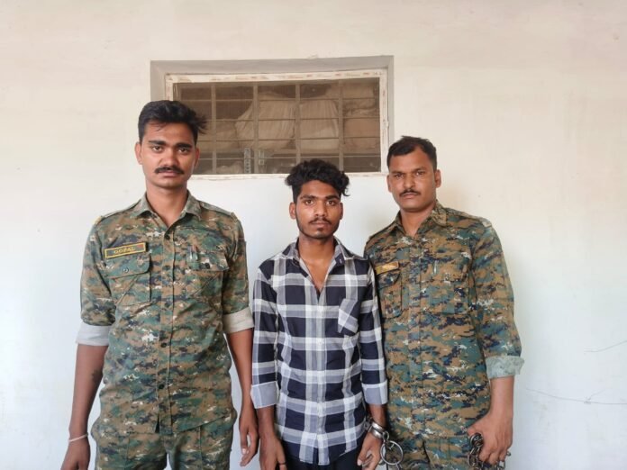 WhatsApp Image 2025-05-16 at 20.08.35