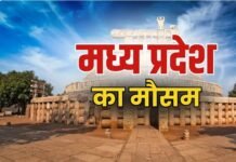 ओलों के बाद अब कोहरे का ‘कहर’; 20 जिलों में विजिबिलिटी कम, कल से फिर शुरू होगा बारिश का दौर