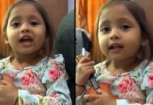 Viral Video: जिस उम्र में बच्चों को ABCD नहीं आती, उस उम्र में बच्ची ने गिटार लेकर गाया ‘बॉर्डर-2’ का गाना, इंटरनेट पर मचाया तहलका