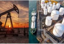 अमेरिका के साथ ट्रेड डील का असर, रूसी तेल की खरीद में कटौती करेगा भारत !