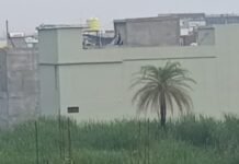 मौसम में फिर आया बदलाव, नीले आसमान को काले बादलों ने घेरा