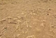 खापा से झालीवाड़ा मार्ग बदहाल, प्रशासन बेखबर