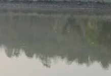 मासूम की जलसमाधि: बहन को बचाने मौत से भिड़ा भाई पर जिंदगी हार गई