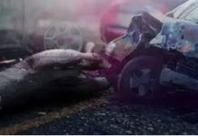 एमपी के भिंड जिले में दर्दनाक हादसा; बस-वैन की टक्कर में पांच लोगों की मौत, छह घायल