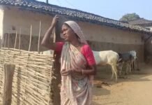 वन्यप्राणी के हमले से घायल पीड़ित से, राहत राशि देने के नाम पर लिया गया कमीशन,?