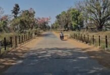 महाराजपुर पुलियां पर निकली सरियां रेलिंग क्षतिग्रस्त