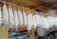 होली को लेकर बाजार हुआ गुलज़ार,पर्व विशेष की तैयारिया जोरो पर