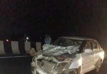 नेवरगांव फोरलेन पर सड़क हादसा, कार भैंसों से टकराई,बरघाट लौट रहा परिवार बाल-बाल बचा, तीन भैंसें घायल