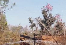 पराली की आग पहुंची आरा मील दमकल ने पाया काबू