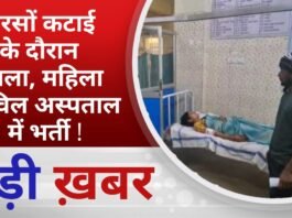 BALAGHAT NEWS: सरसों कटाई के दौरान हमला, महिला सिविल अस्पताल में भर्ती ! PADMESH NEWS BALAGHAT