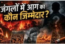 लापरवाही या साजिश, क्यों जल रहे ‘देवभूमि’ के जंगल? समझिए पहाड़ी इलाकों में आग फैलने की पूरी कहानी