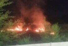 साई लॉन के सामने खाली मैदान में भीषण आग