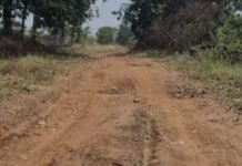 थानेगांव कोस्ते मार्ग पर चलना हुआ दूभर