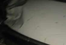 भीषण सडक़ हादसे में युवक की मौत साथी गंभीर घायल