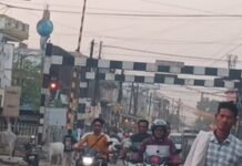 भटेरा ओवर ब्रिज निर्माण में आया नया अड़ंगा?अधिकारियों ने एक ही नगर के 2 वार्डो में से, एक शहरी तो दूसरे को बना दिया ग्रामीण