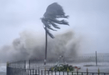 भारत में अगले महीने दस्तक देगा मॉनसून, मौसम एक्सपर्ट बोले- इस बार समय से पहले होगी झमाझम बारिश