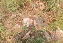 नहर किनारे मिला दो दिनों से लापता वृध्द का शव, क्षेत्र में फैली सनसनी