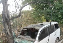 कार में गाय तस्करी के दौरान हादसा- पेड़ से टकराई कार