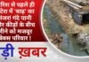 बारिश से पहले ही भटेरा में ‘बाढ़’ का मंजर! गंदे पानी और कीड़ों के बीच जीने को मजबूर बेबस परिवार !