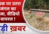 BALAGHAT NEWS: सड़क पर उतरा जंगल का राजा, वीडियो वायरल ! PADMESH NEWS BALAGHAT