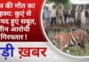 BALAGHAT NEWS:बाघ की मौत का रहस्य: कुएं से बरामद हुए सबूत, तीन आरोपी गिरफ्तार !PADMESH NEWS BALAGHAT