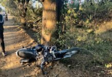मलाजखंड में दर्दनाक सड़क हादसापेड़ से टकराई मोटरसाइकिल:कोचिंग संचालक की मौत
