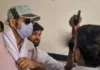 फरार पति समर्थ सिंह जबलपुर से गिरफ्तार, पूछताछ के लिए कोर्ट से 7 दिन की रिमांड मांगेगी पुलिस