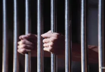 MP में पुलिस कस्टडी में दो महीने में चार मौतों पर हाईकोर्ट सख्त, सरकार से मांगा जवाब; CCTV फुटेज सुरक्षित रखने के निर्देश