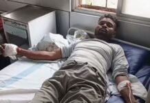 तेंदूपत्ता तोड़ने गए मजदूर पर 2 मादा रीछ ने किया हमला