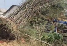 खैरलाँजी में चक्रवाती तूफान ने मचाई तबाही जनजीवन पूरी तरह अस्त व्यस्त