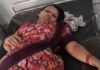 भालू और जंगली सूअर के हमले में एक महिला सहित दो लोग घायल