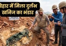 बिहार में मिला दुर्लभ खनिजों का भंडार, 14 ब्लॉक की नीलामी जल्द