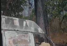 भीषण सडक़ हादसा, अनियंत्रित होकर पेड़ से टकराई जननी एक्सप्रेस