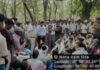 तेंदूपत्ता तोडऩे गये व्यक्ति पर बाघ का जानलेवा हमला, मौके पर ही दर्दनाक मौत