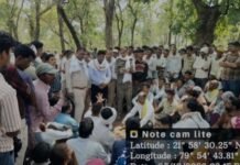 तेंदूपत्ता तोडऩे गये व्यक्ति पर बाघ का जानलेवा हमला, मौके पर ही दर्दनाक मौत